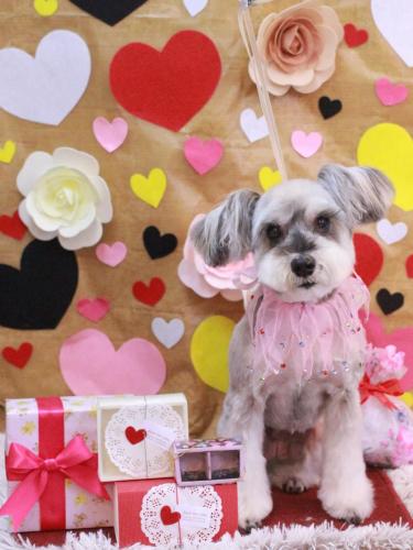 20230214来夢ちゃん